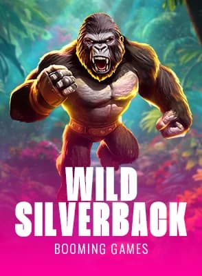 Wild Silverback