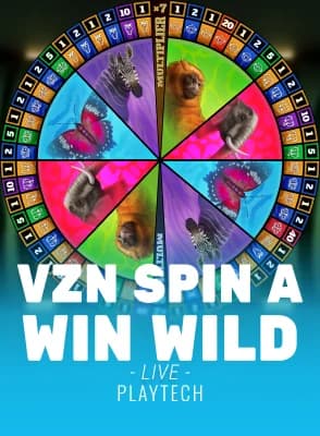 VZN Spin A Win Wild