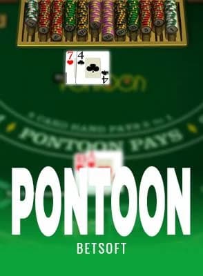 Pontoon 21