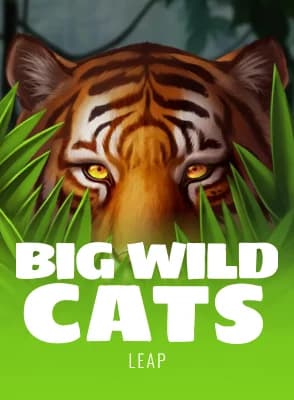 Big Wild Cats