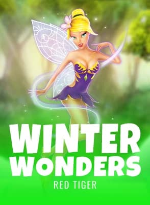 Winter Wonders